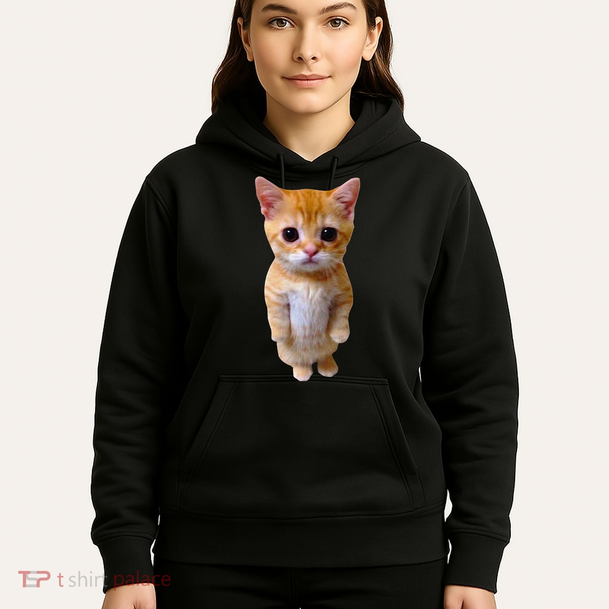 El Gato Meme Sad Crying Cat Munchkin Kitty Meme Trendy Hoodie
