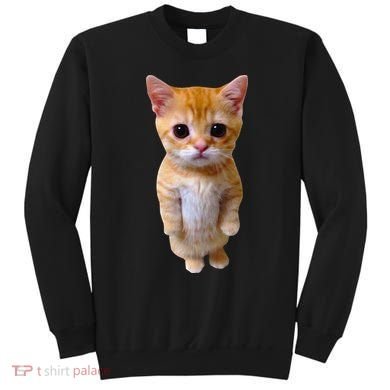 El Gato Meme Sad Crying Cat Munchkin Kitty Meme Trendy Sweatshirt