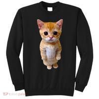 El Gato Meme Sad Crying Cat Munchkin Kitty Meme Trendy Sweatshirt thumb 0