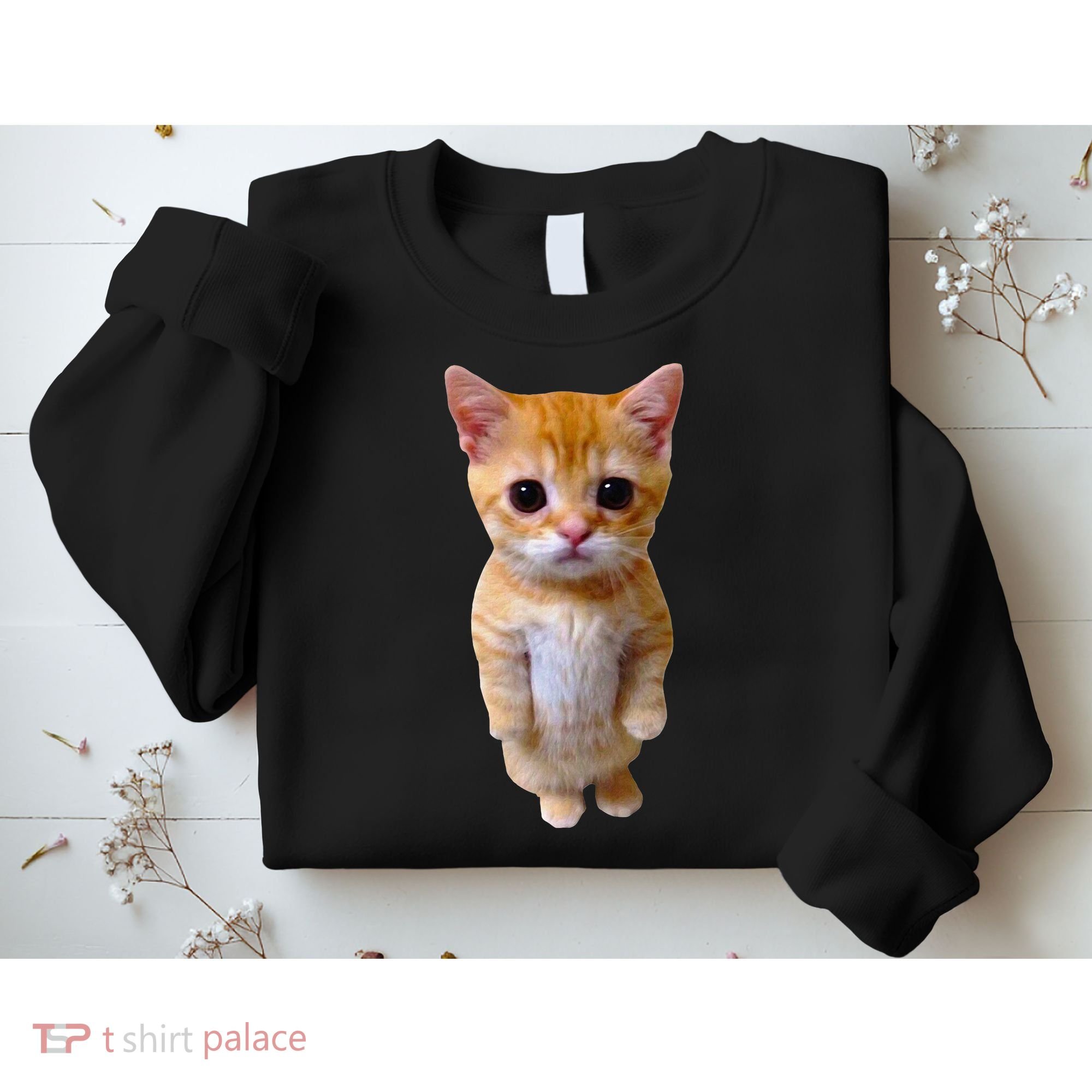 El Gato Meme Sad Crying Cat Munchkin Kitty Meme Trendy Sweatshirt