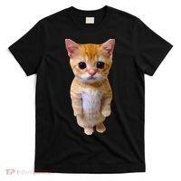 El Gato Meme Sad Crying Cat Munchkin Kitty Meme Trendy T-Shirt thumb 0