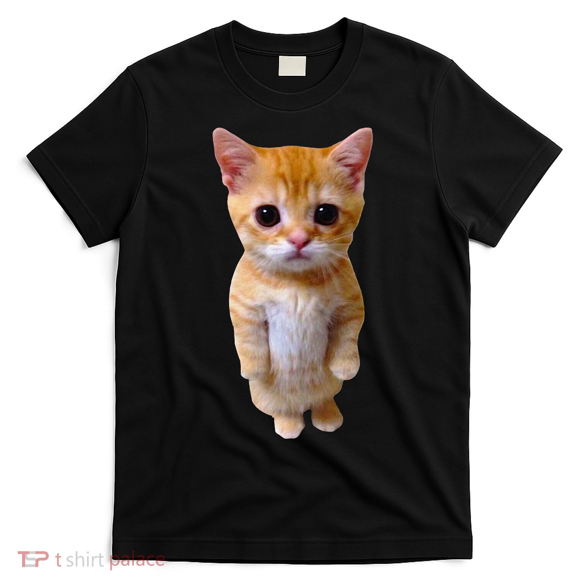 El Gato Meme Sad Crying Cat Munchkin Kitty Meme Trendy T-Shirt