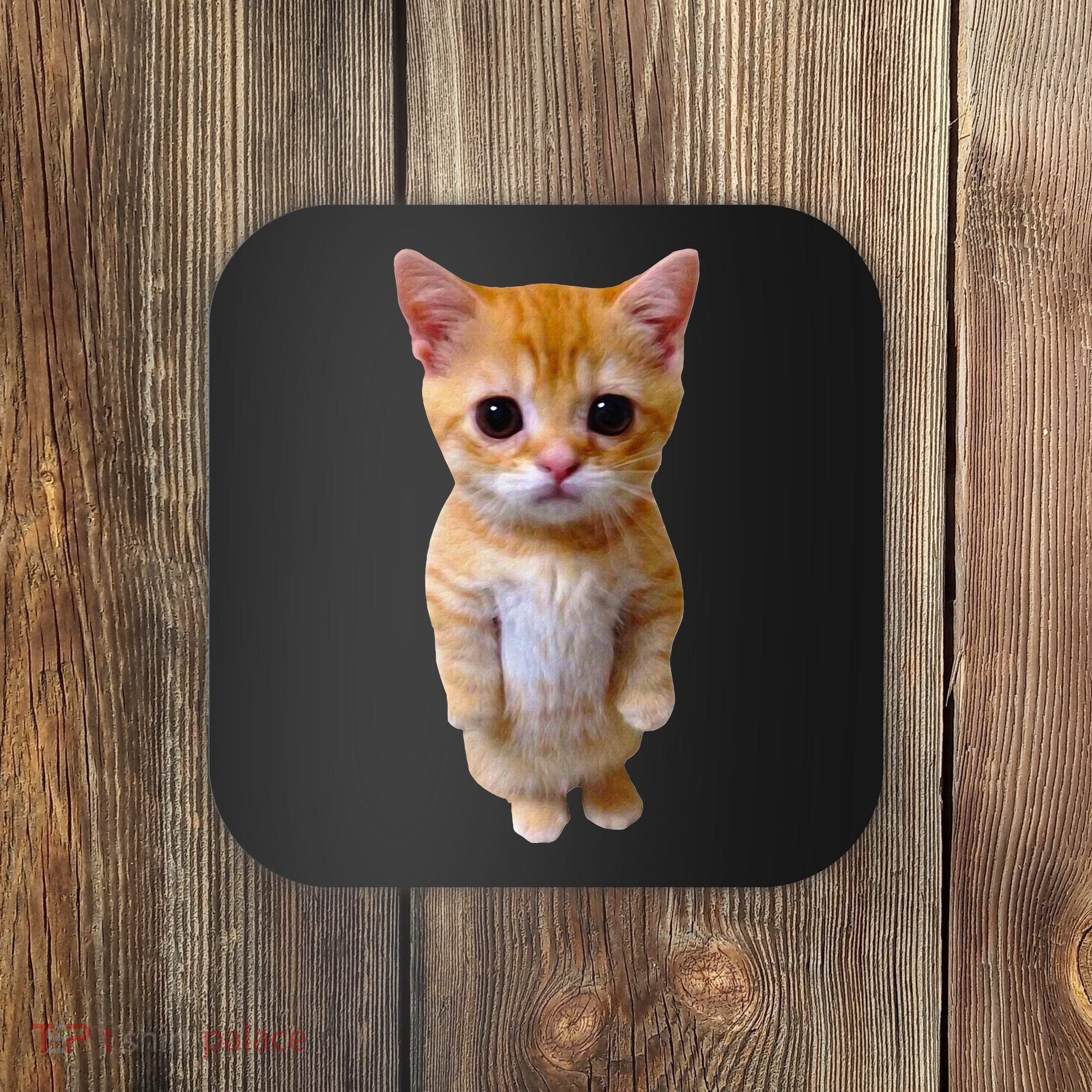 El Gato Meme Sad Crying Cat Munchkin Kitty Meme Trendy Coaster