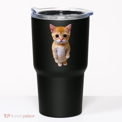 El Gato Meme Sad Crying Cat Munchkin Kitty Meme Trendy Tumbler