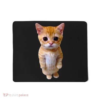 El Gato Meme Sad Crying Cat Munchkin Kitty Meme Trendy Mousepad