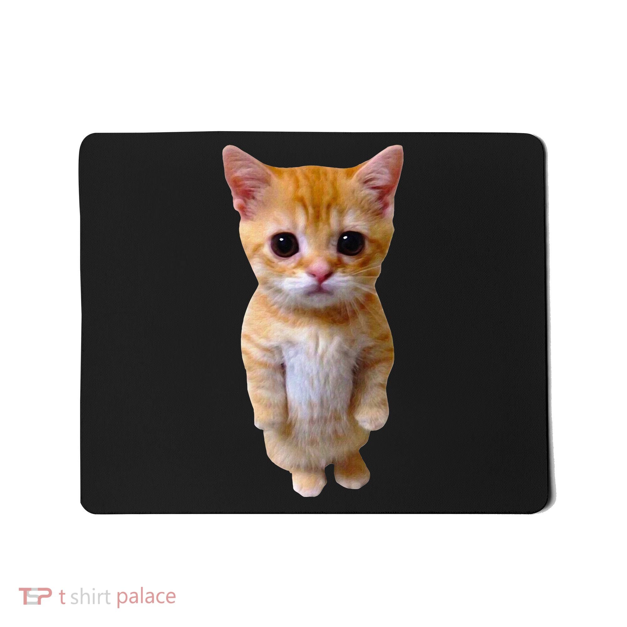 El Gato Meme Sad Crying Cat Munchkin Kitty Meme Trendy Mousepad