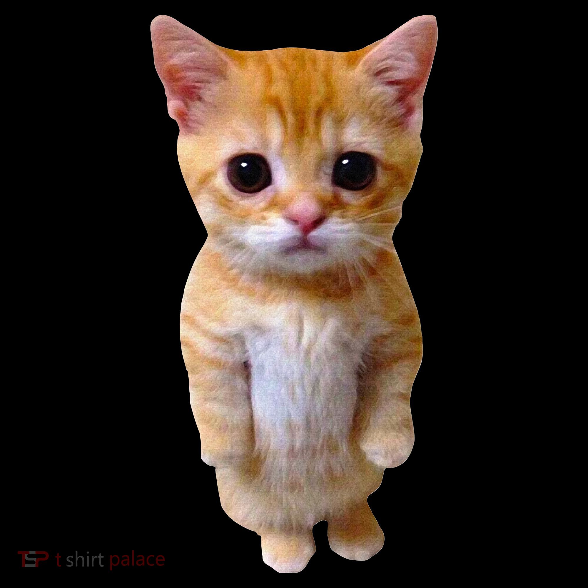 El Gato Meme Sad Crying Cat Munchkin Kitty Meme Trendy Mousepad