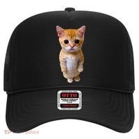 El Gato Meme Sad Crying Cat Munchkin Kitty Meme Trendy Hat thumb 0
