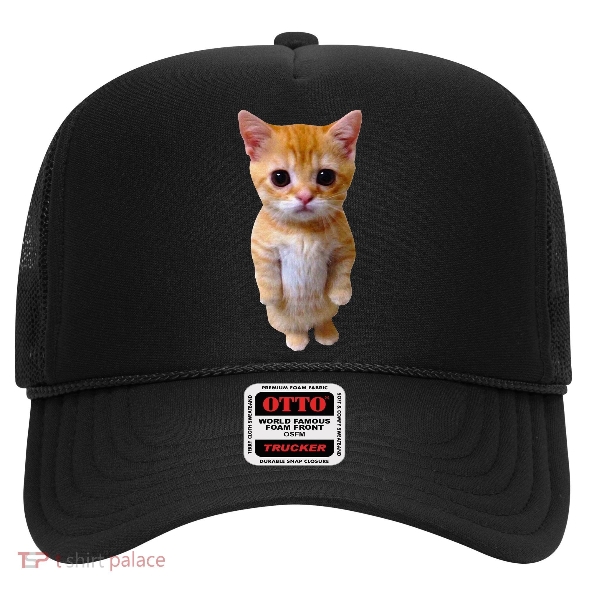 El Gato Meme Sad Crying Cat Munchkin Kitty Meme Trendy Hat