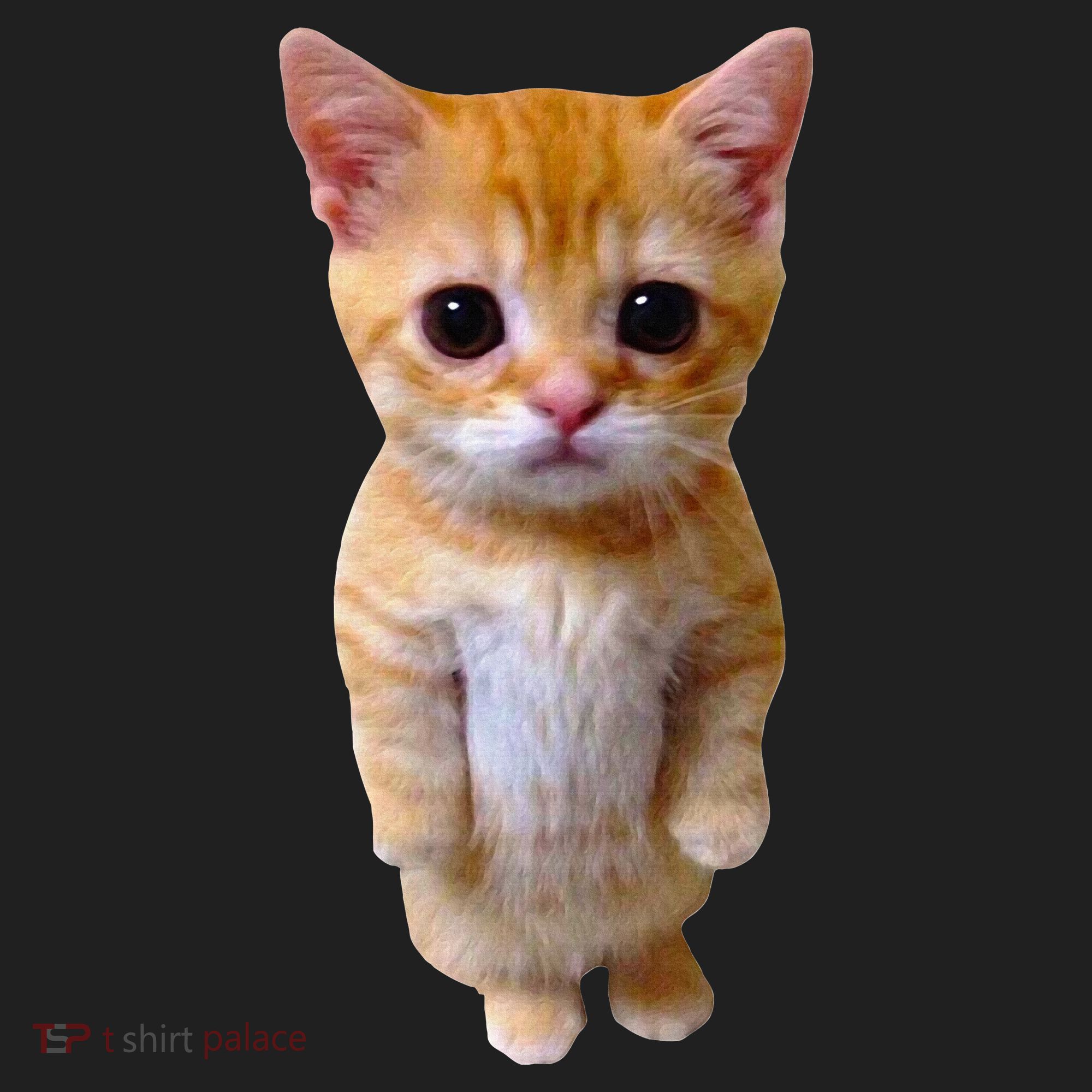 El Gato Meme Sad Crying Cat Munchkin Kitty Meme Trendy Hat