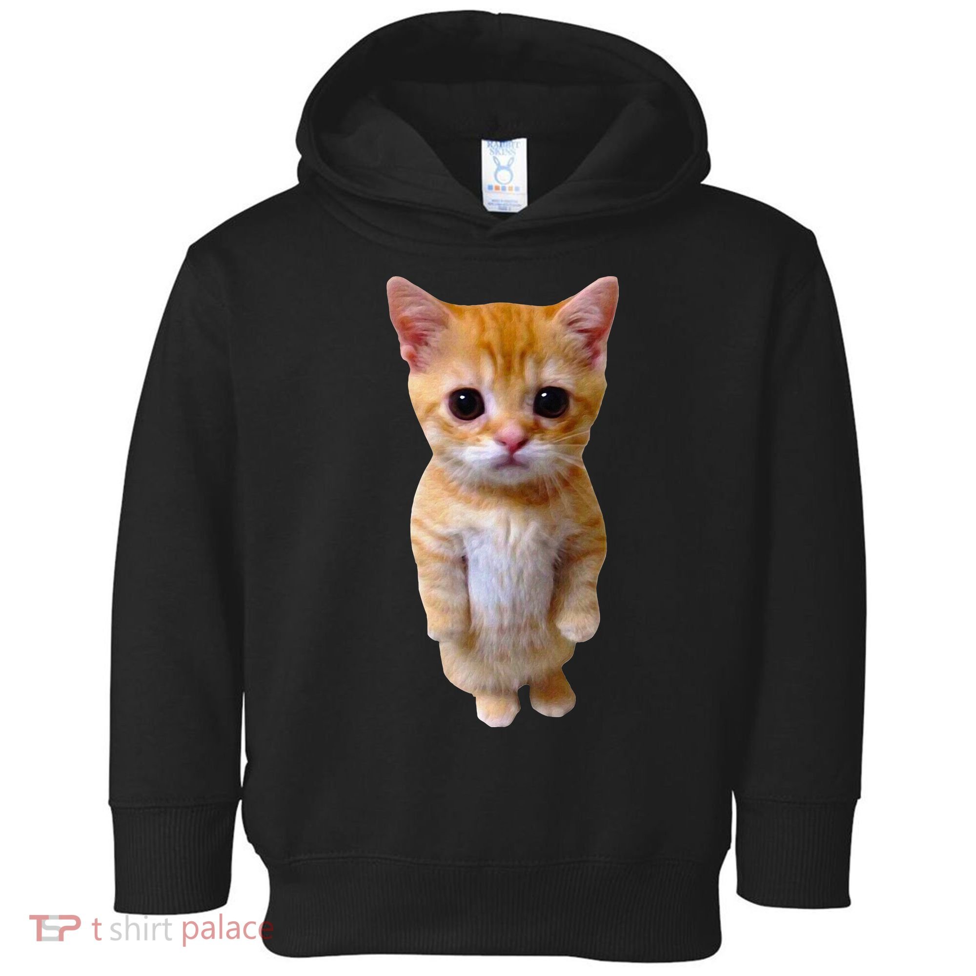 El Gato Meme Sad Crying Cat Munchkin Kitty Meme Trendy Toddler Hoodie