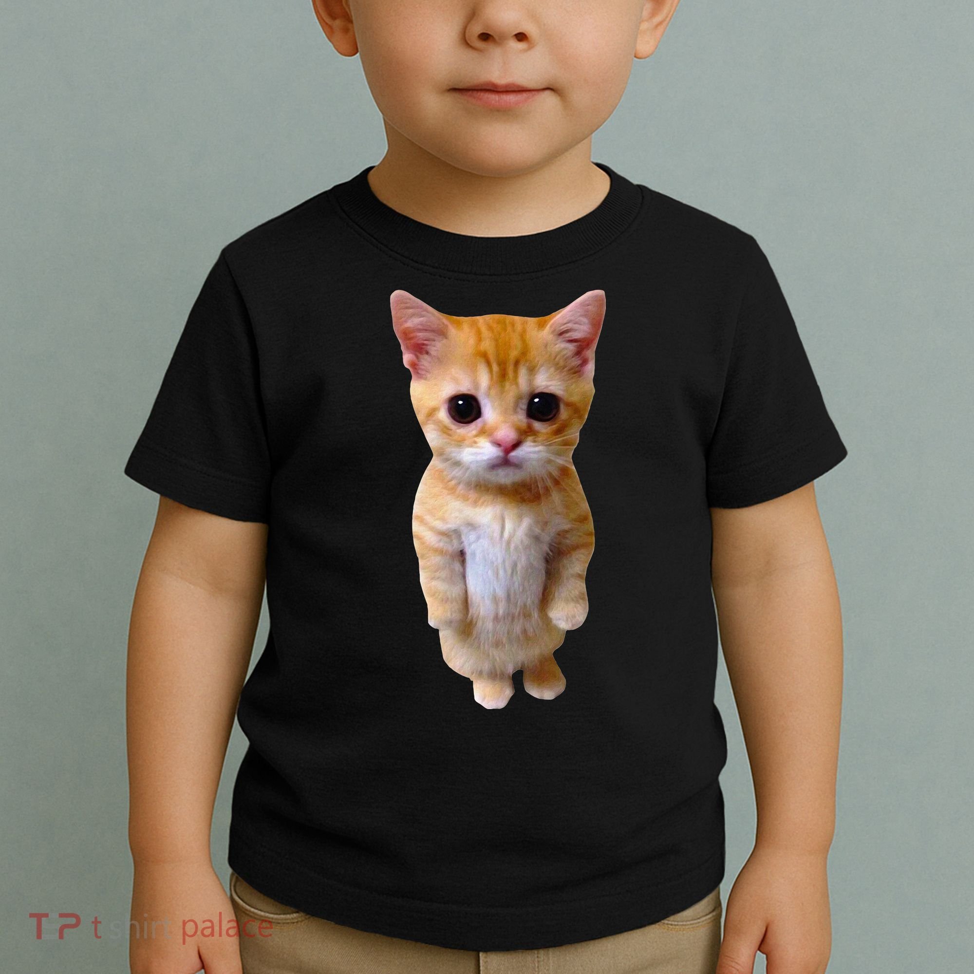 El Gato Meme Sad Crying Cat Munchkin Kitty Meme Trendy Toddler T-Shirt