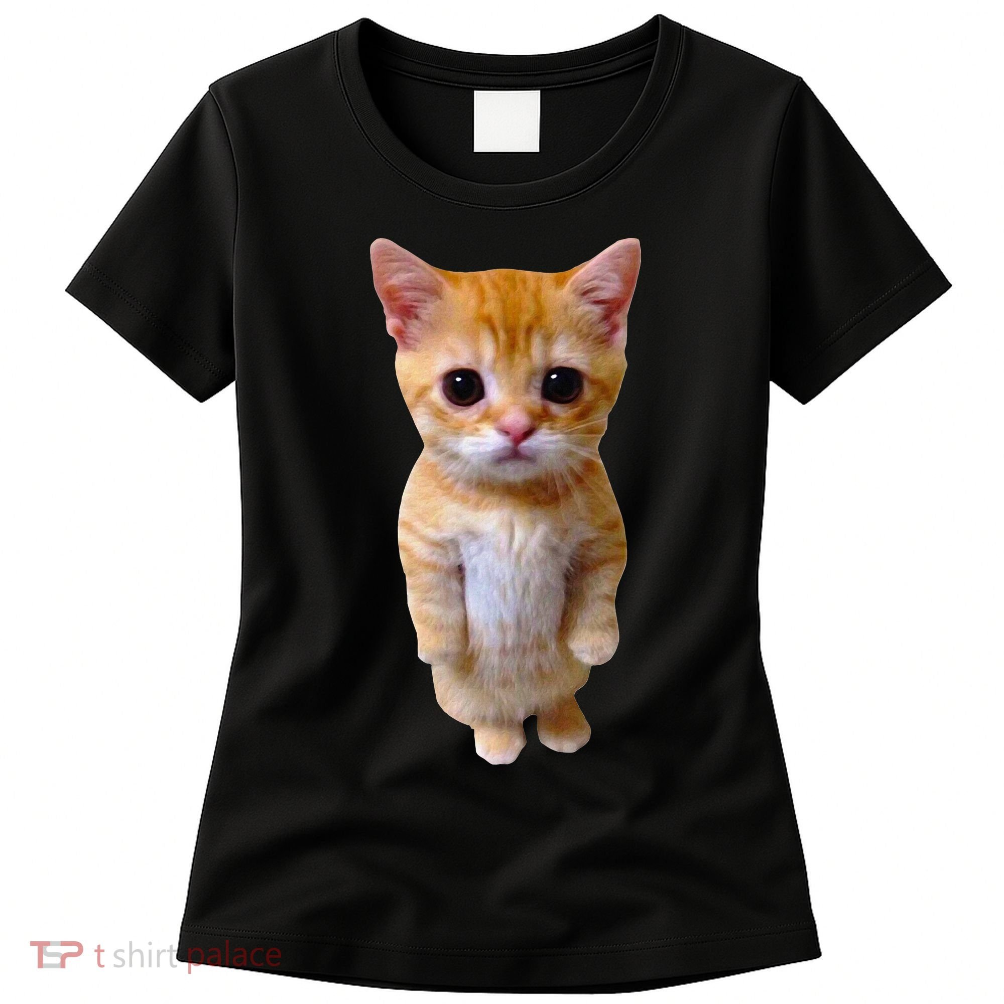 El Gato Meme Sad Crying Cat Munchkin Kitty Meme Trendy Women's T-Shirt