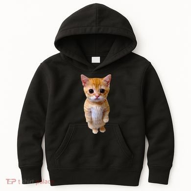 El Gato Meme Sad Crying Cat Munchkin Kitty Meme Trendy Kids Hoodie
