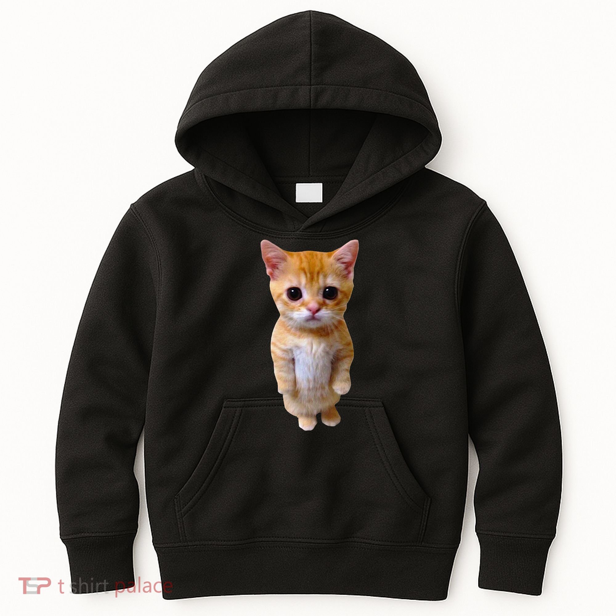 El Gato Meme Sad Crying Cat Munchkin Kitty Meme Trendy Kids Hoodie