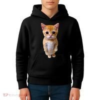 El Gato Meme Sad Crying Cat Munchkin Kitty Meme Trendy Kids Hoodie thumb 4
