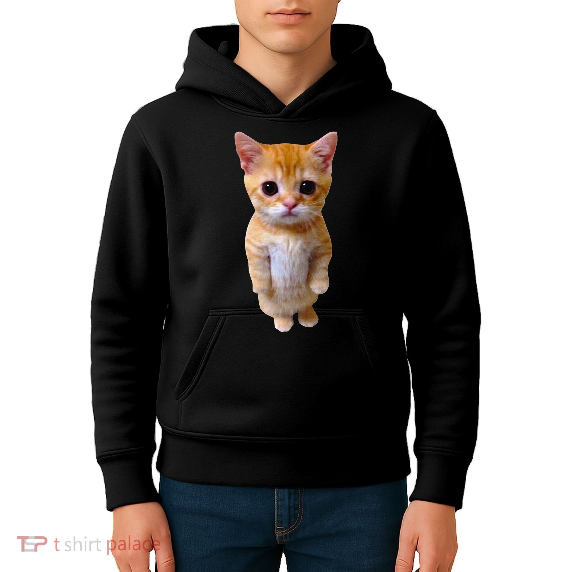 El Gato Meme Sad Crying Cat Munchkin Kitty Meme Trendy Kids Hoodie