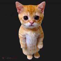 El Gato Meme Sad Crying Cat Munchkin Kitty Meme Trendy Kids Long Sleeve Shirt thumb 2