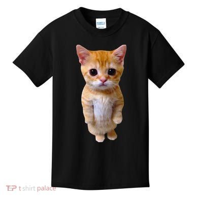 El Gato Meme Sad Crying Cat Munchkin Kitty Meme Trendy Kids T-Shirt