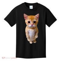 El Gato Meme Sad Crying Cat Munchkin Kitty Meme Trendy Kids T-Shirt thumb 0