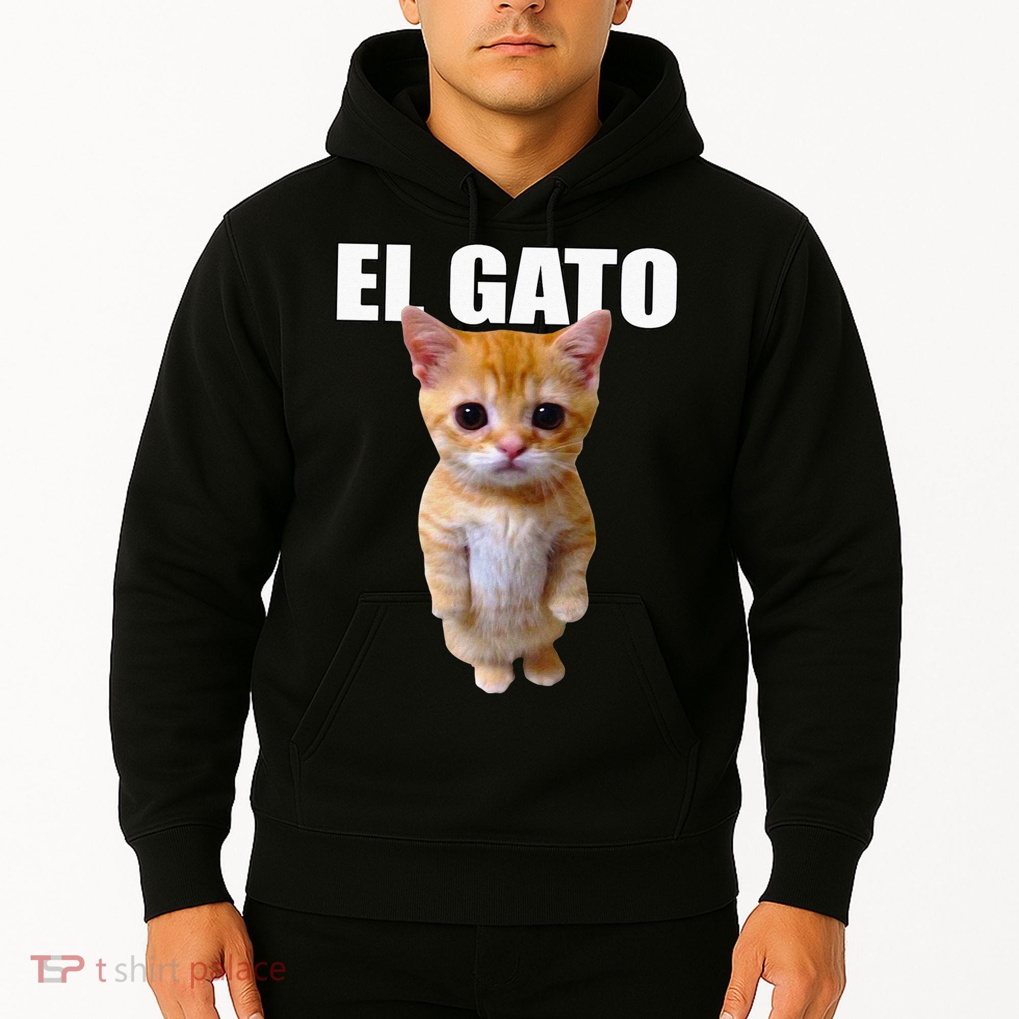 El Gato Meme Sad Crying Cat Munchkin Kitty Meme Trendy Hoodie