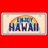 Enjoy Hawaii Car Plate Santa Hat thumb 1