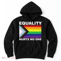 Equality Hurts No One Inclusive Progress Pride Flag Hoodie thumb 0