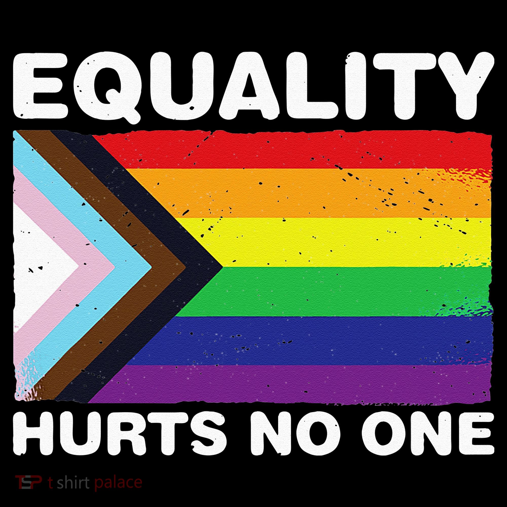 Equality Hurts No One Inclusive Progress Pride Flag Hoodie