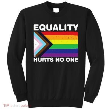 Equality Hurts No One Inclusive Progress Pride Flag Sweatshirt