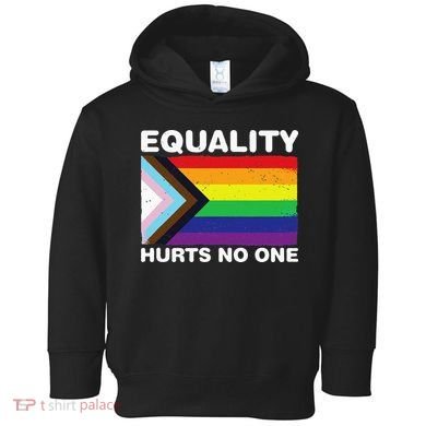 Equality Hurts No One Inclusive Progress Pride Flag Toddler Hoodie