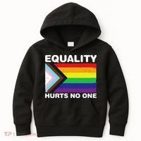 Equality Hurts No One Inclusive Progress Pride Flag Kids Hoodie thumb 0