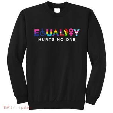 Equality Hurts No One LGBT Black Disabled  Right Kind Sweatshirt