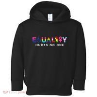 Equality Hurts No One LGBT Black Disabled  Right Kind Toddler Hoodie thumb 0