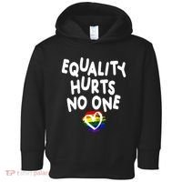 Equality Hurts No One Toddler Hoodie thumb 0