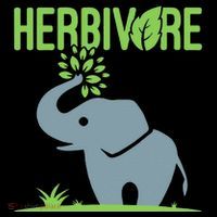 Elephant Herbivore Vegan Vegetarian Cute Coffee Mug thumb 5