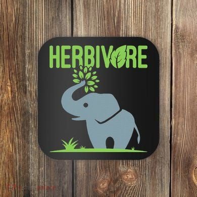 Elephant Herbivore Vegan Vegetarian Cute Coaster