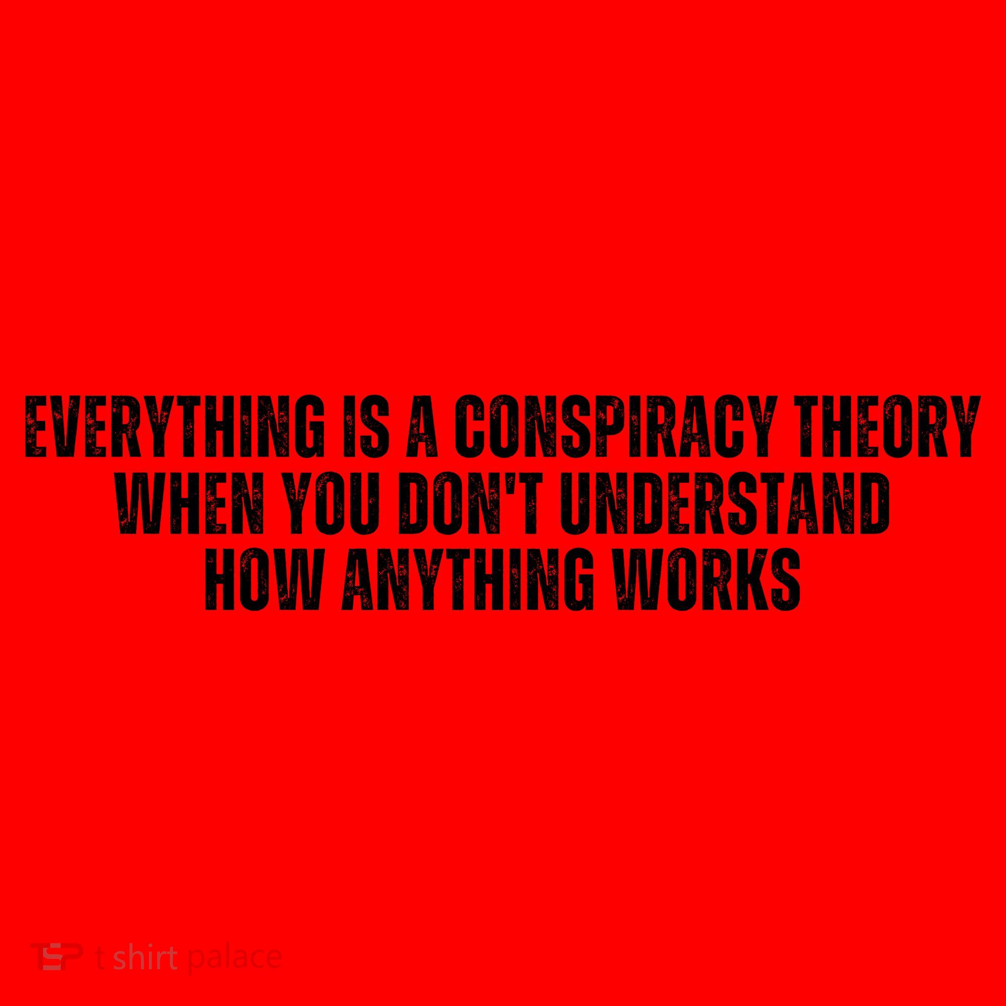 Everything Is A Conspiracy Theory When You Dont Understand How Anything Works Santa Hat