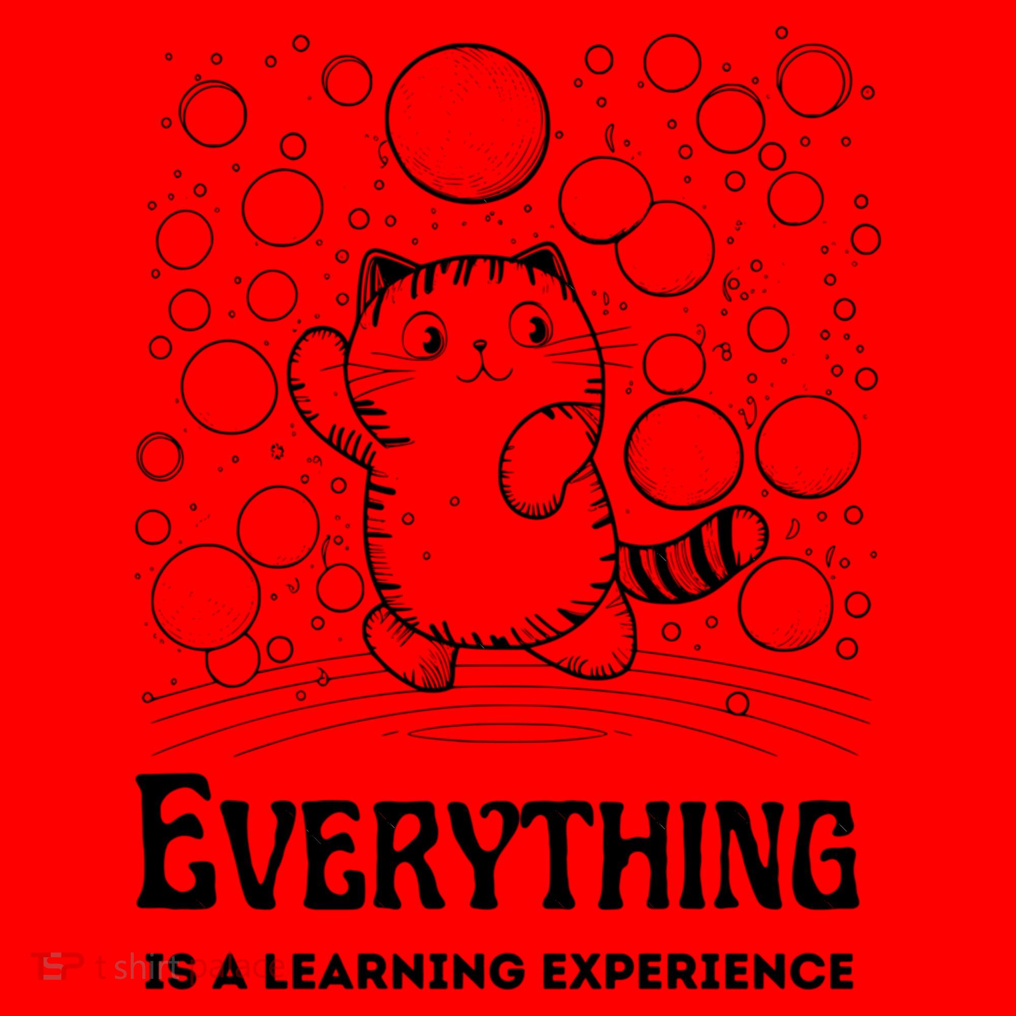 Everything Is A Learning Experience Santa Hat