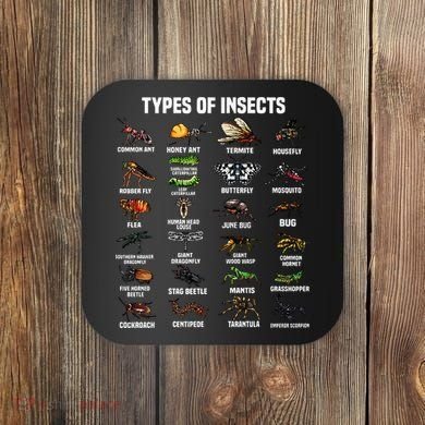 Entomology Insect Bug Lover Coaster