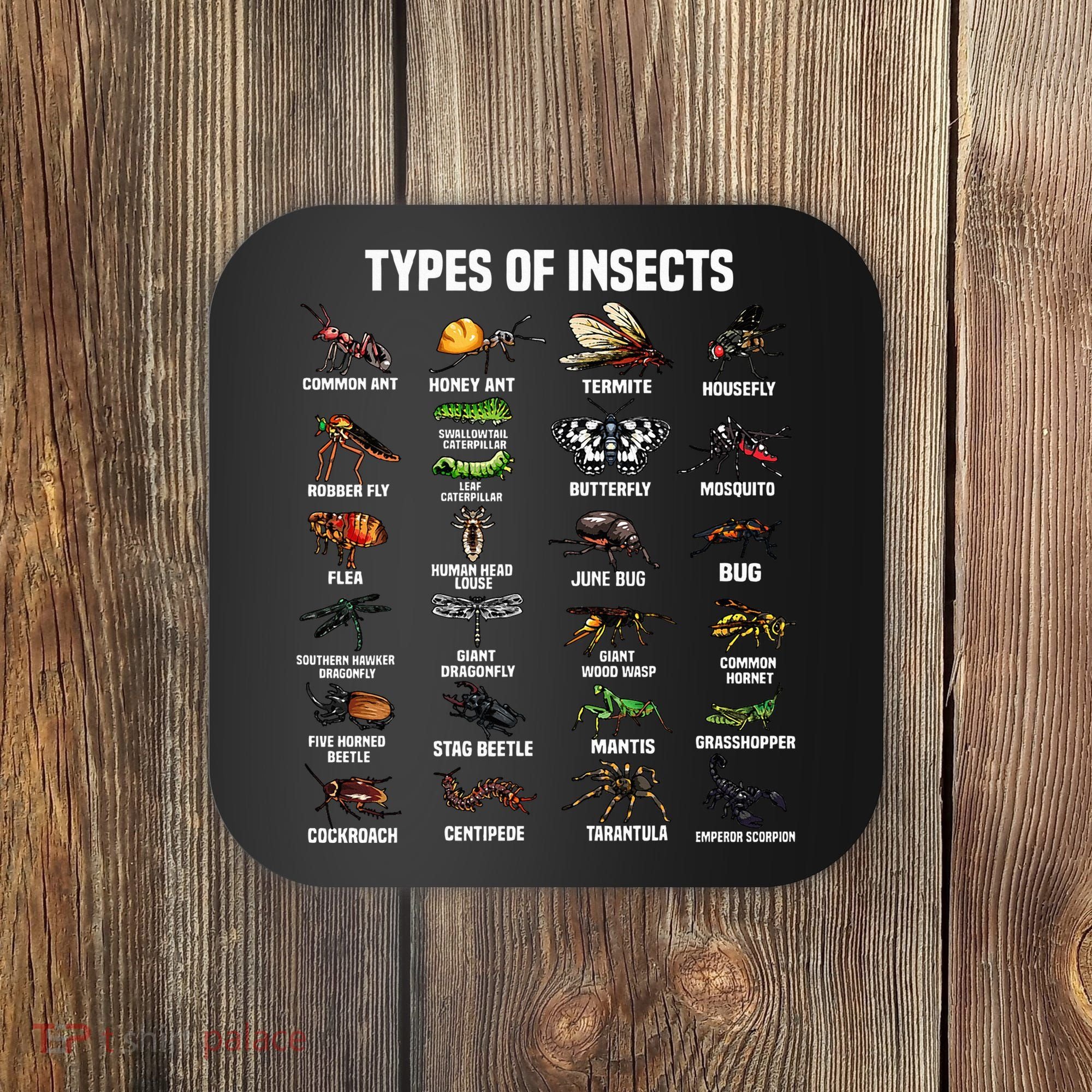 Entomology Insect Bug Lover Coaster