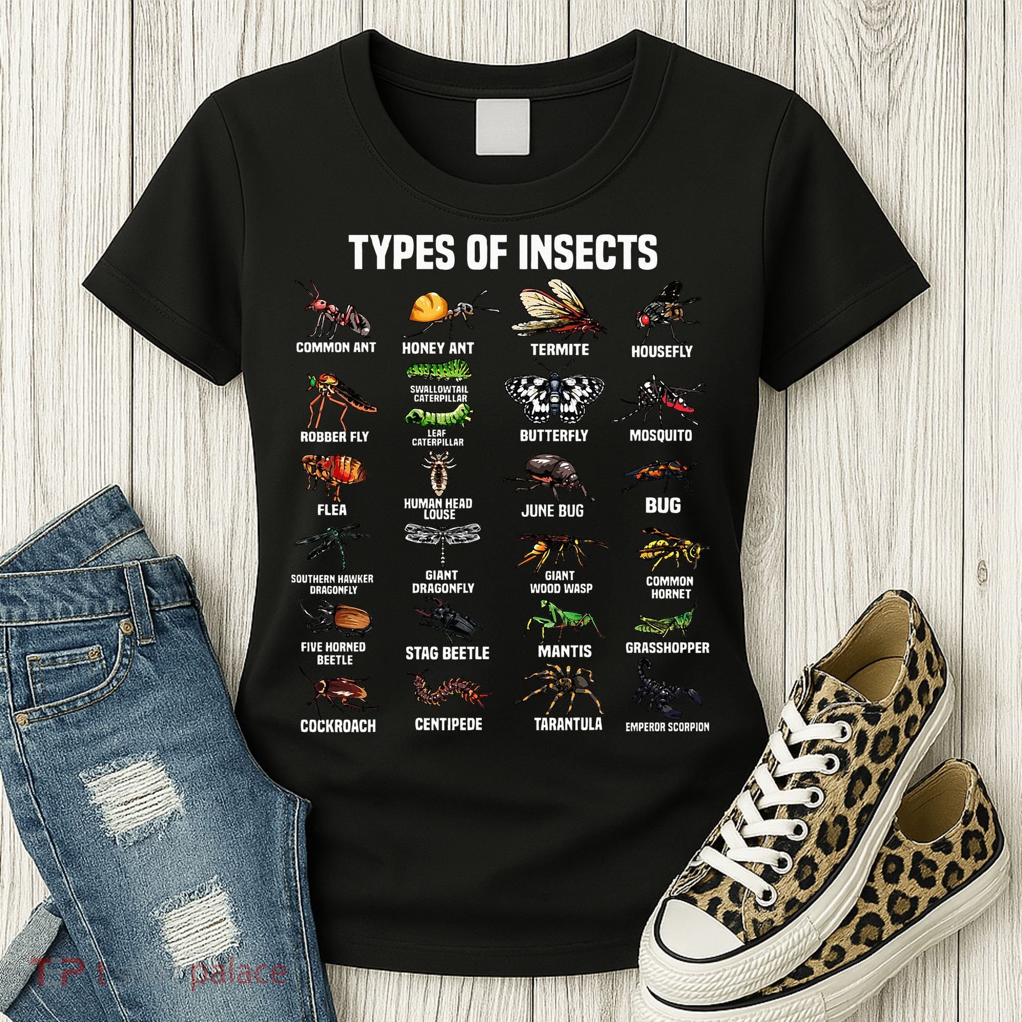 Entomology Insect Bug Lover Women's T-Shirt