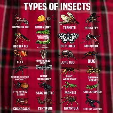 Entomology Insect Bug Lover Women's Flannel Plaid Pajama Pants