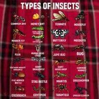 Entomology Insect Bug Lover Women's Flannel Plaid Pajama Pants thumb 2