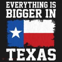 Everything Is Bigger In Texas Vintage Houston Dallas Austin T-Shirt thumb 7