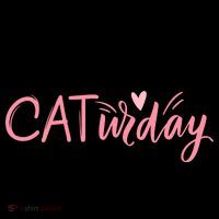 Everyday Is Caturday Cat Lover Coffee Mug thumb 5