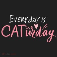 Everyday Is Caturday Cat Lover Beanie thumb 2