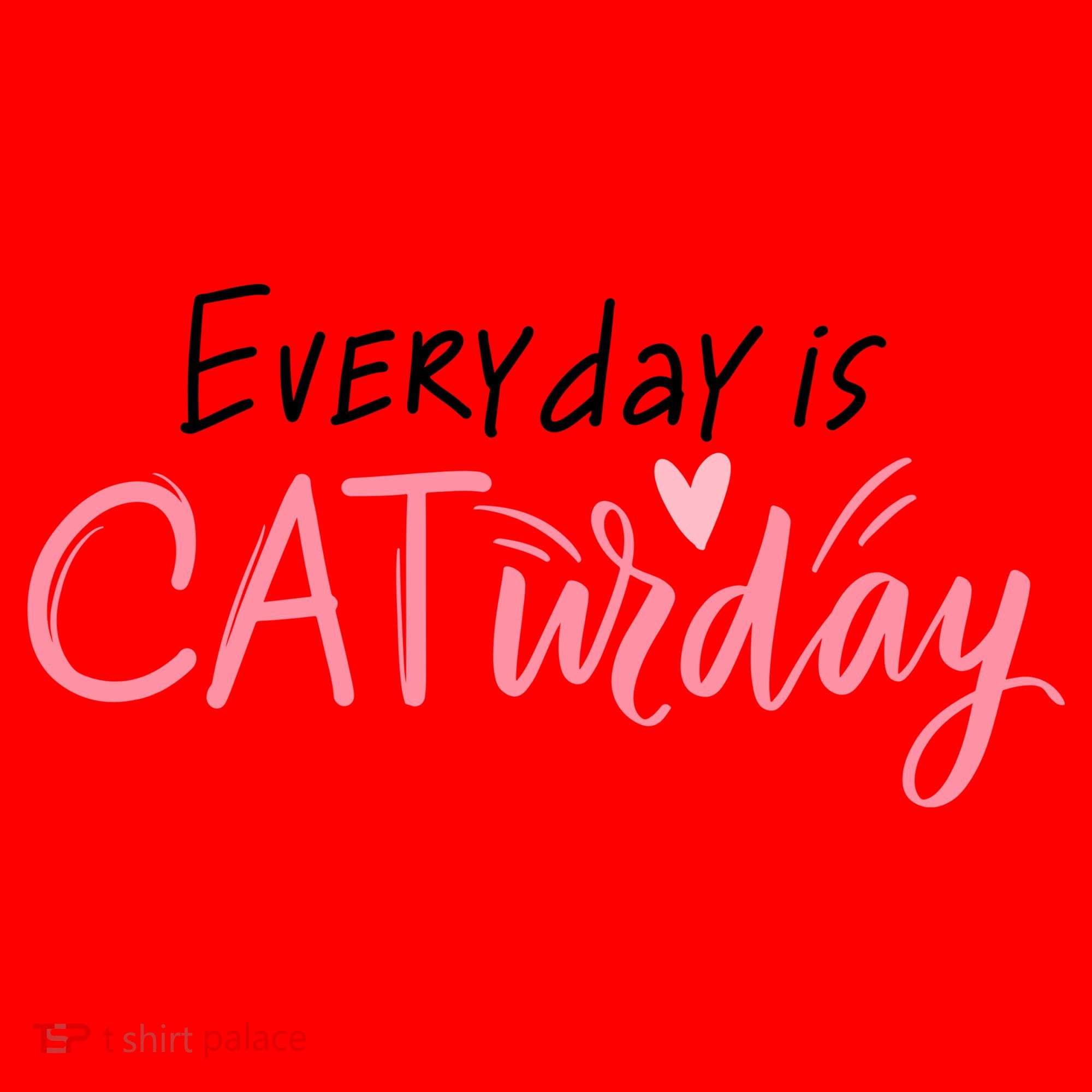 Everyday Is Caturday Cat Lover Santa Hat