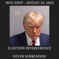 Election Interference Donald Trump Mugshot Women's Sweatshirt thumb 2