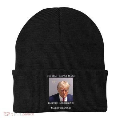 Election Interference Donald Trump Mugshot Beanie