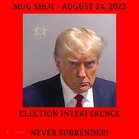Election Interference Donald Trump Mugshot Santa Hat thumb 1